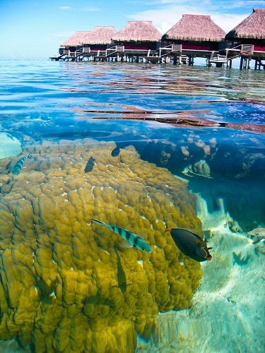Hilton Moorea Lagoon Resort & Spa