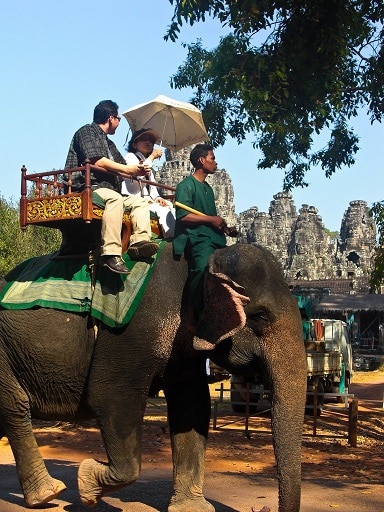 Elephant Angkor Cambodia