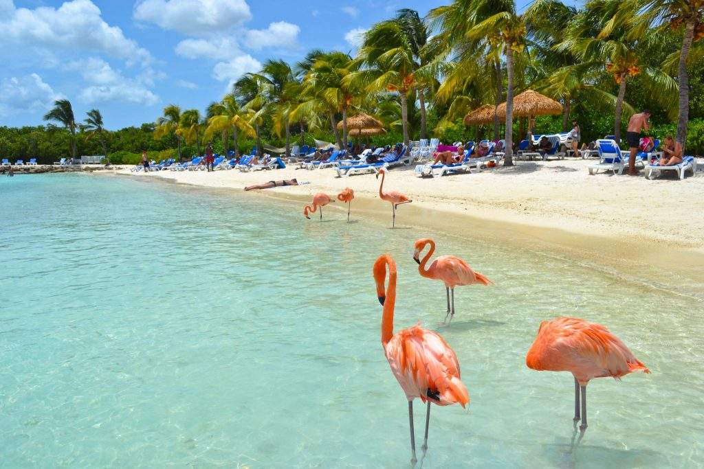 Flamingo Beach Aruba ABC Islands