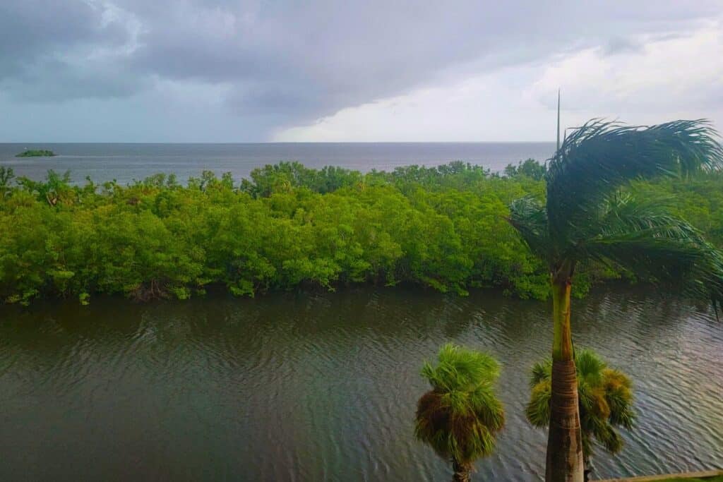 A Florida Thunderstorm
