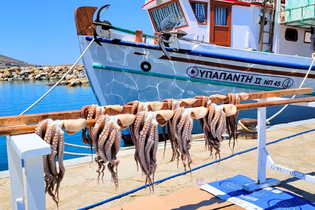 Squid fresh from the sea hung on a bar to dry in Paros Greece