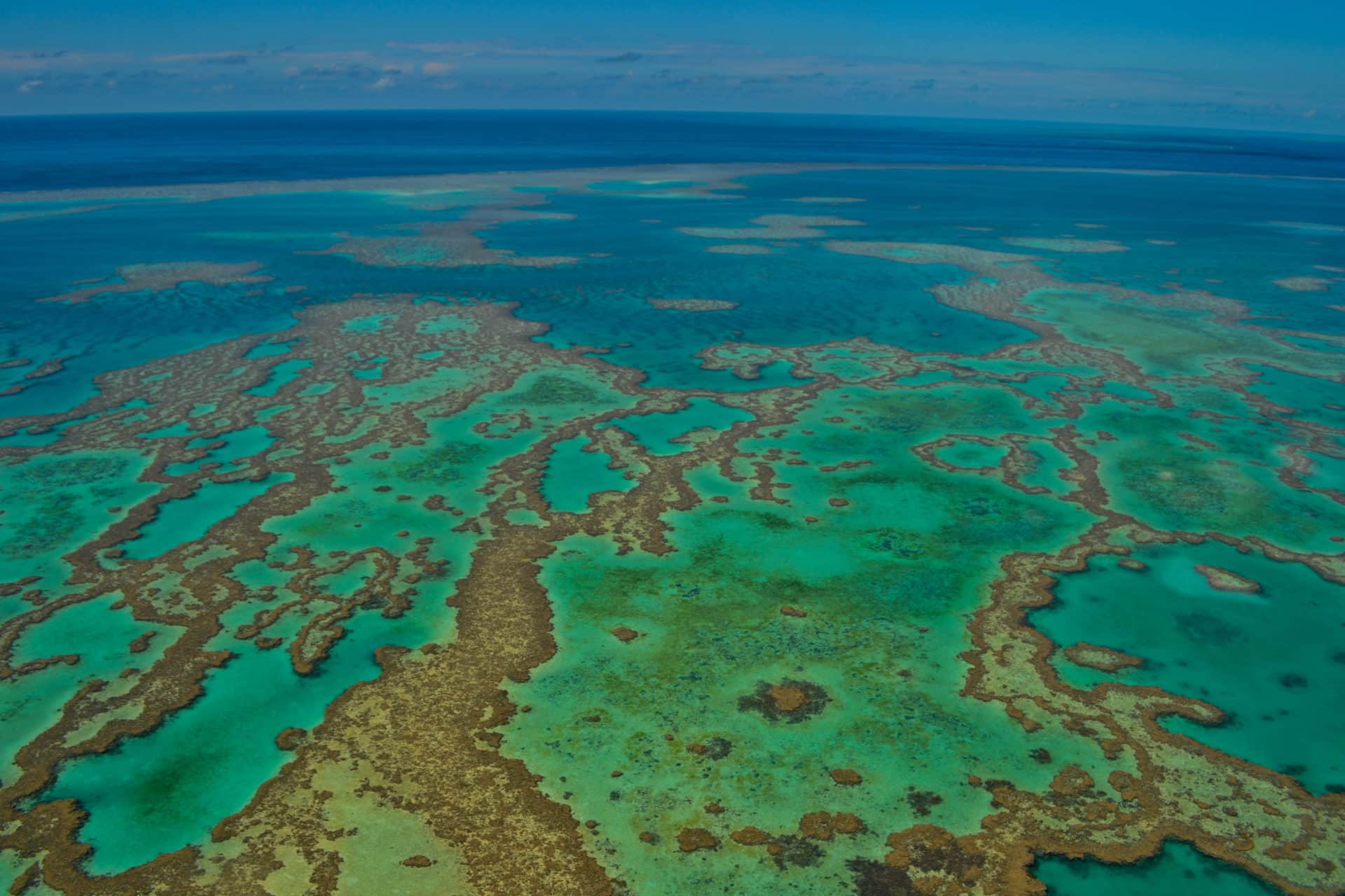Great Barrier Reef Australia