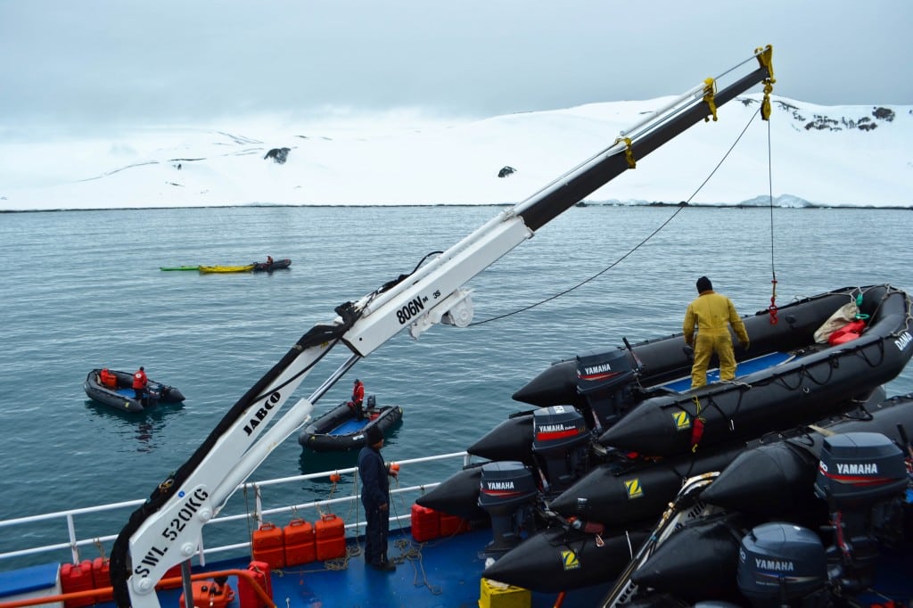 Half Moon Island South Shetlands Antarctica