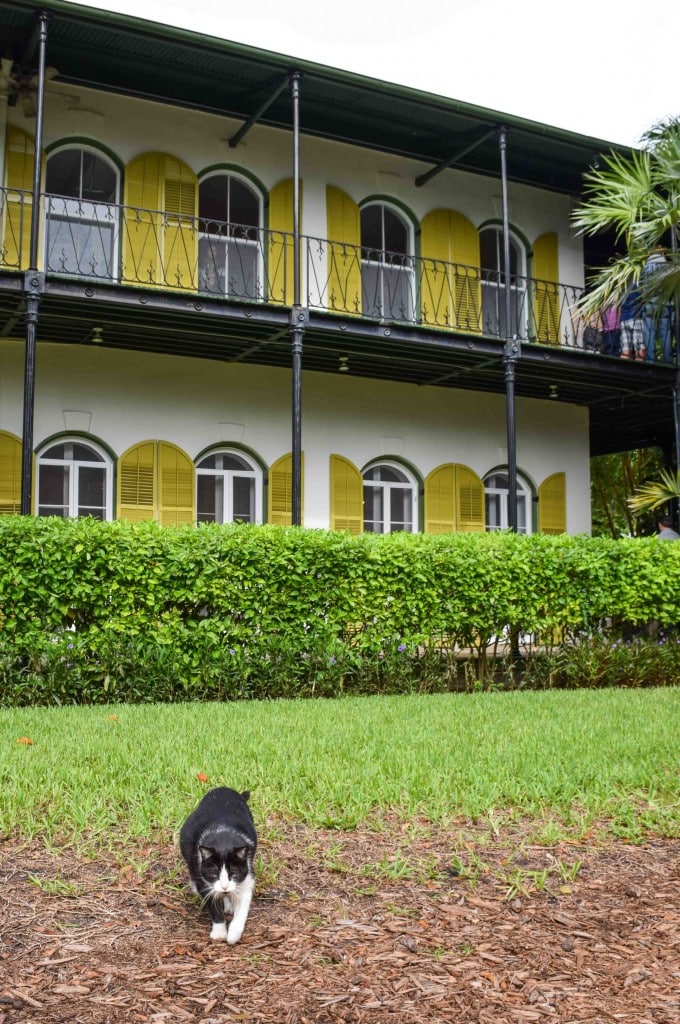 Hemingway House Key West Florida