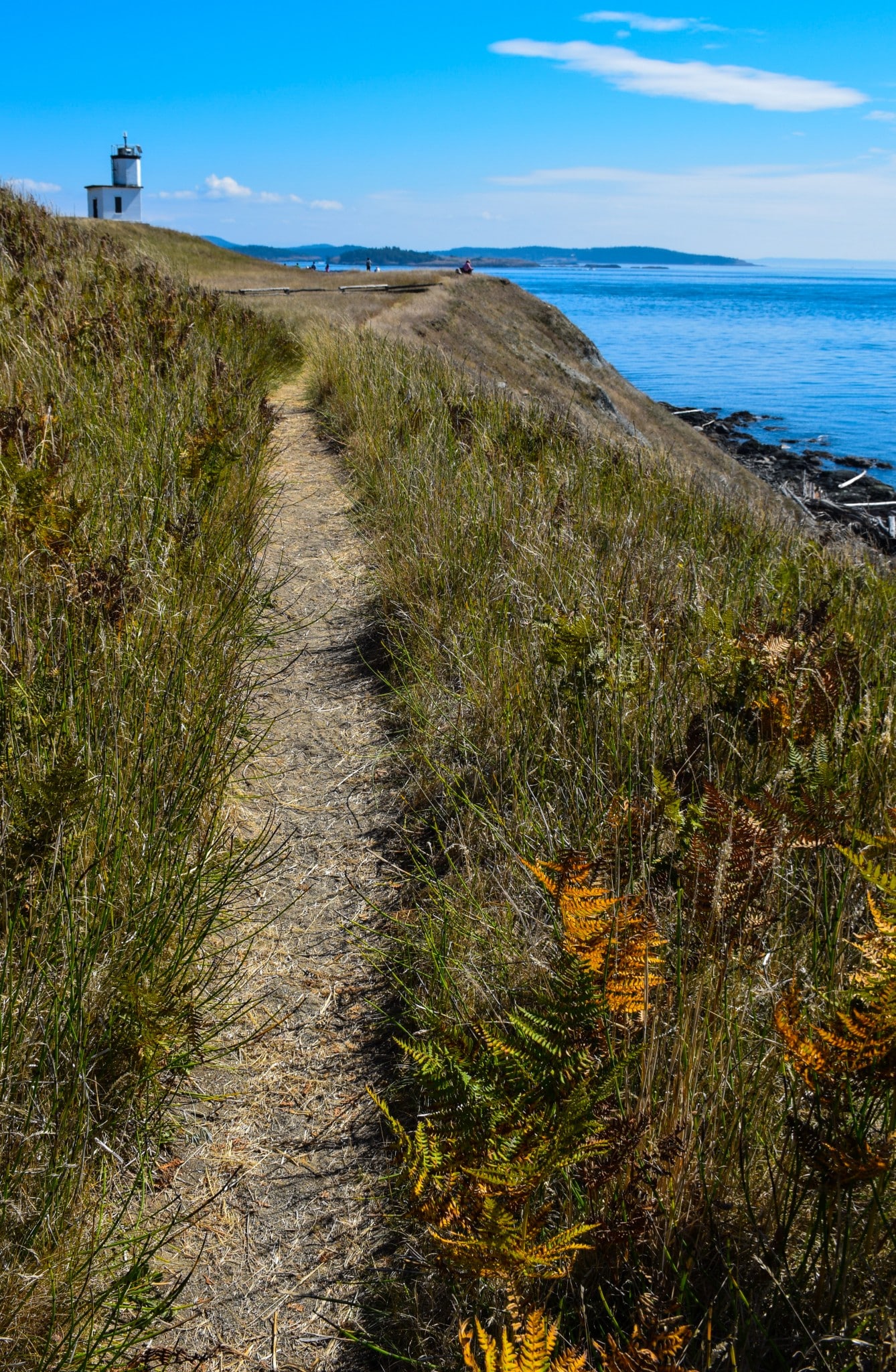 Hiking Trails San Juan Islands Washington