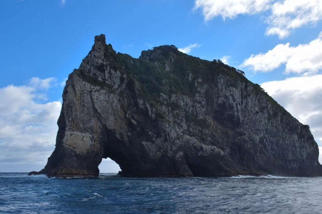 Hole in the Rock Bay of Islands New Zealand