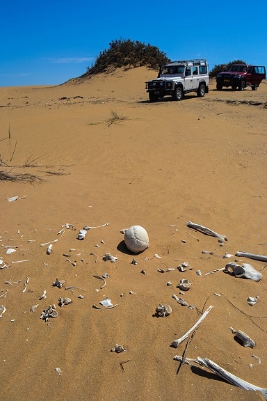 Human bones Namib Desert Namibia