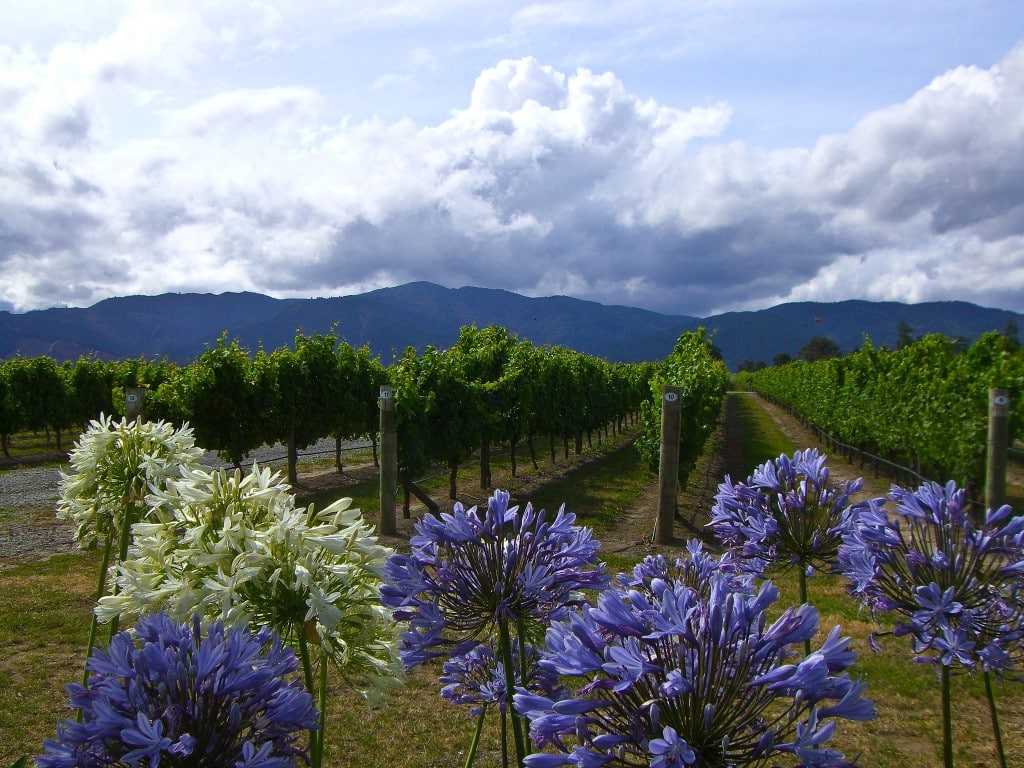 Marlborough New Zealand