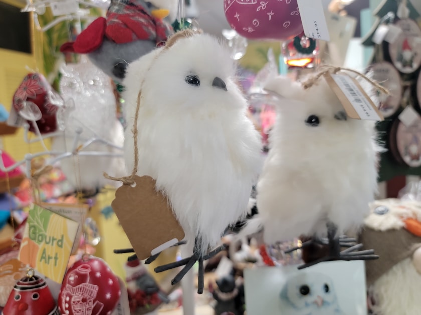 Peace River Wildlife Center Luna