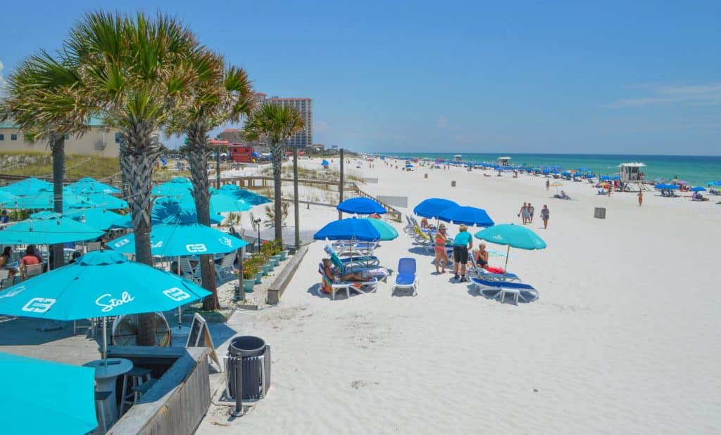 White sand beach with palm trees and blue beach umbrellas