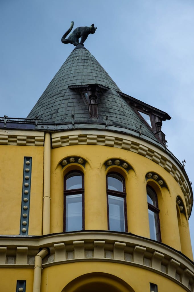 Cat House Riga Latvia
