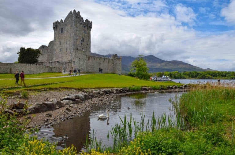 Renting a Car for Your Trip to Ireland This Summer? Better Read This First ☘️🚗