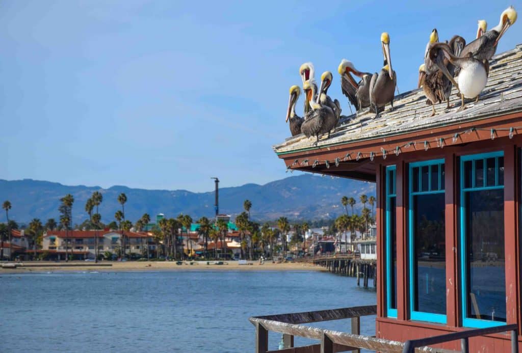 Stearns Wharf Santa Barbara California