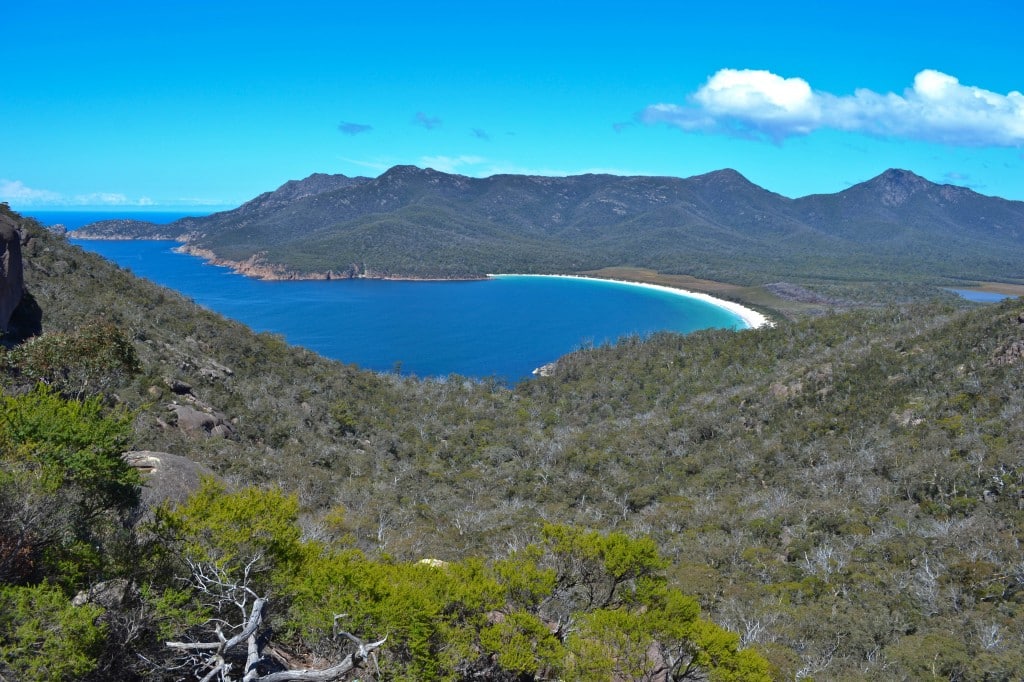 A Devil of a Time in Tasmania: How to Make the Most of 24 Hours