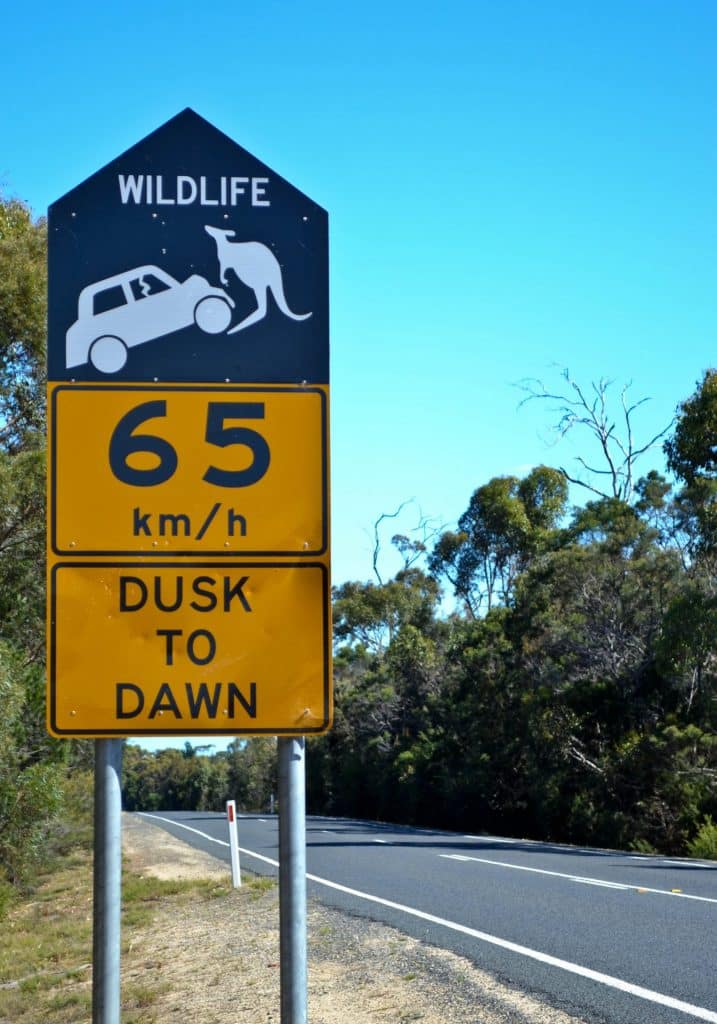 Tasmania Warning Sign