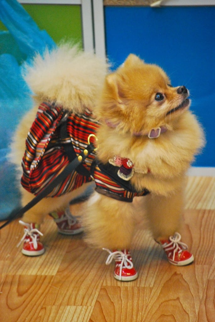 Chatuchak Weekend Market Bangkok Thailand