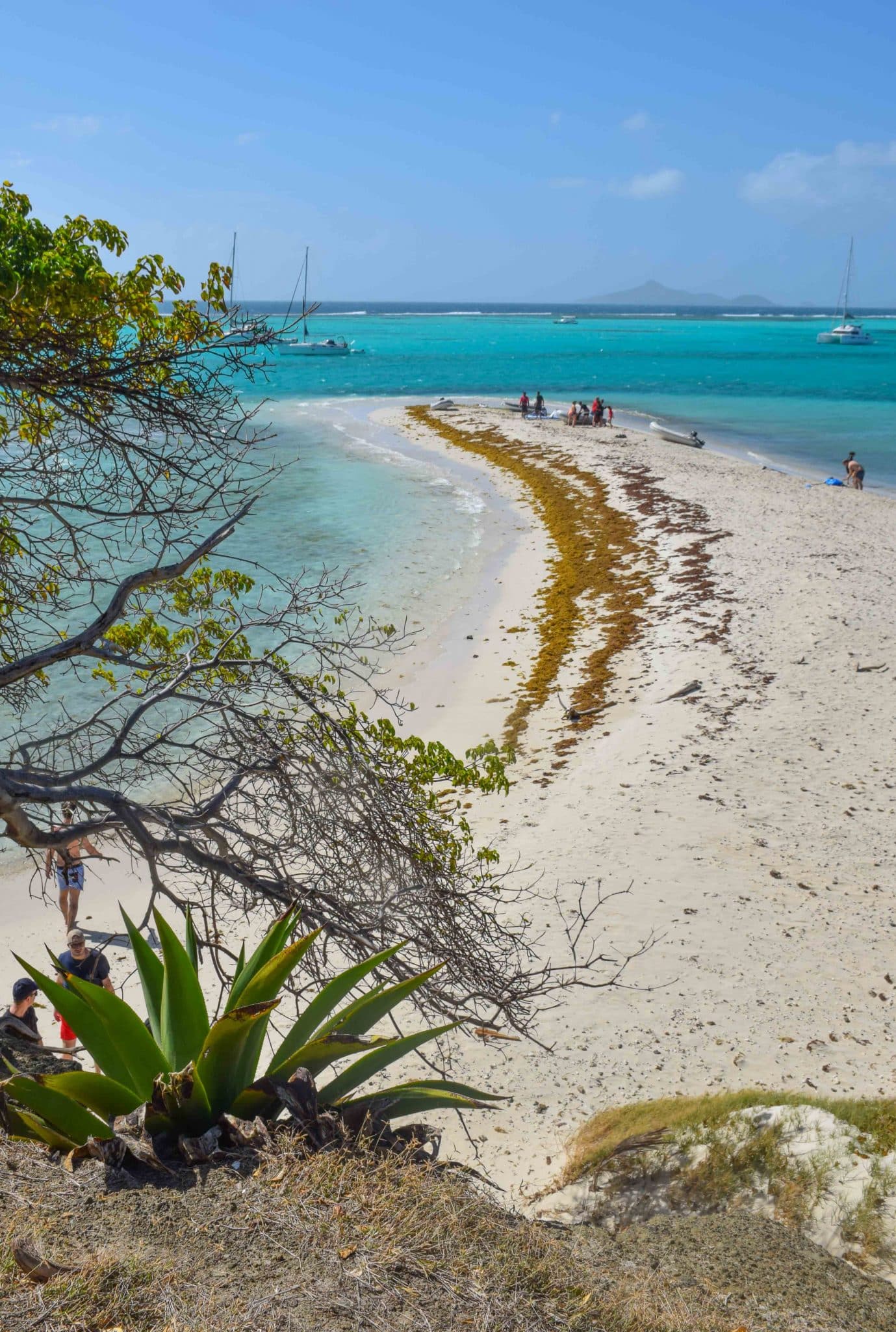 Tobago Cays St Vincent Grenadines