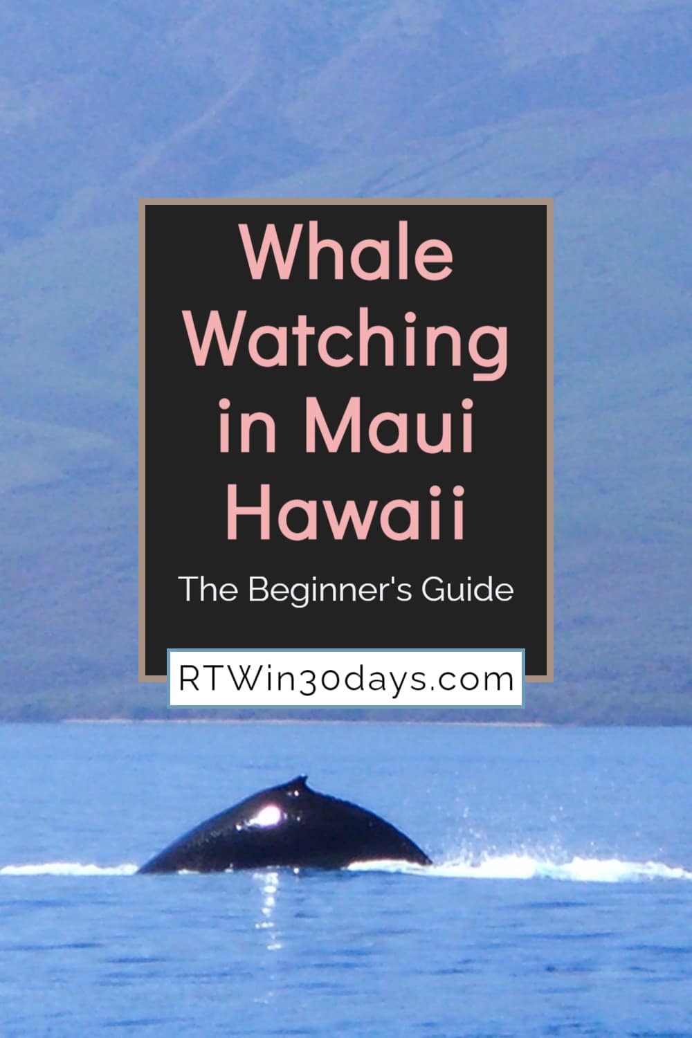 Whale Watching in Maui Hawaii