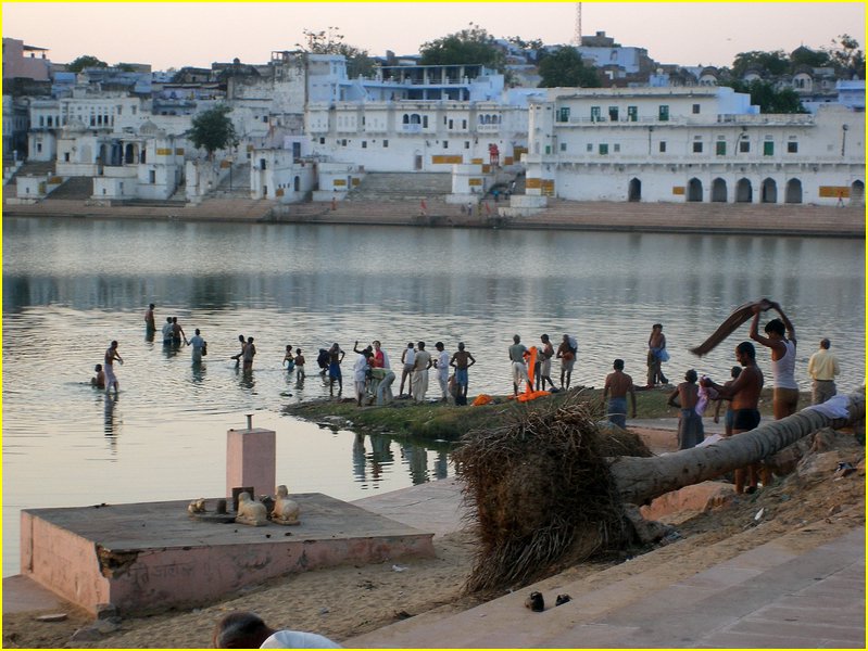 3017-Pushkar-Dscf0376.jpg