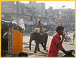 3000-Bikaner-Dscf0181.jpg